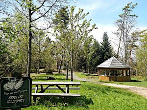 Höchster Punkt des Arboretum Anould. Hütte.