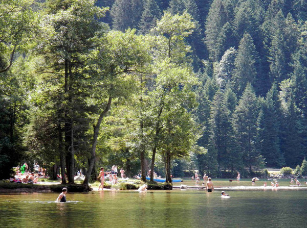 Badesee Lac de Longemer. Am Zufluss.