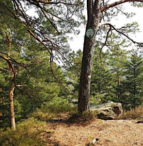 Bergmassiv Madeleine: Koenigstuhl. La Chaise du Roi.