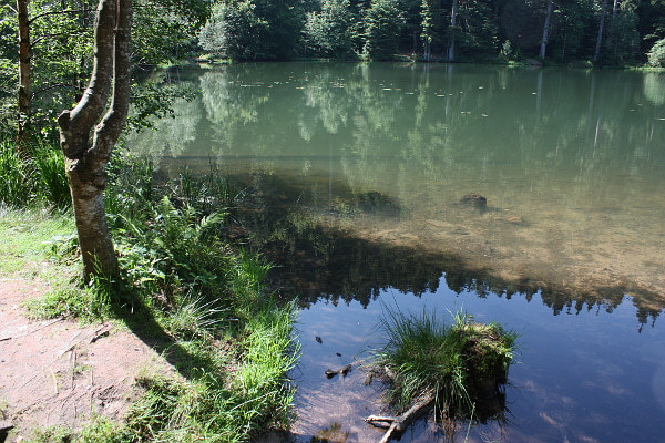 Blick in den Lac de la Maix