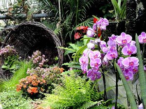 Blumen-Arrangement aus dem Schmetterlingsgarten Hunawihr