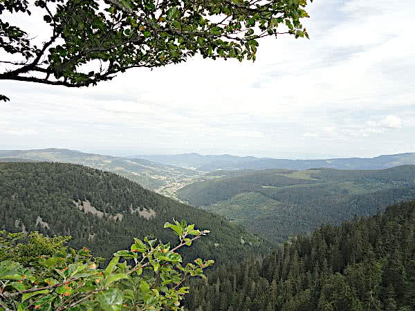 Blick ins Munstertal.