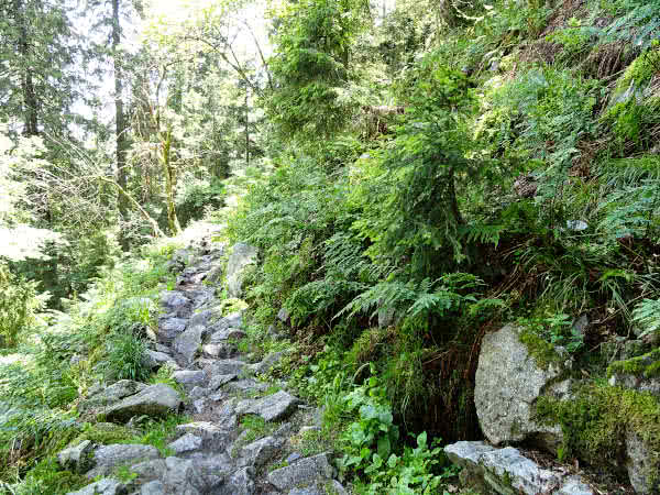 Schwieriges Teilstück des Felsenweg.