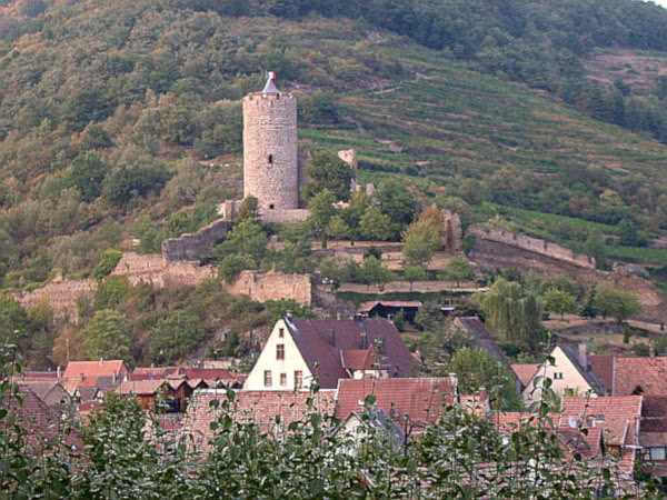 Stauferburg oberhalb von Kaysersberg