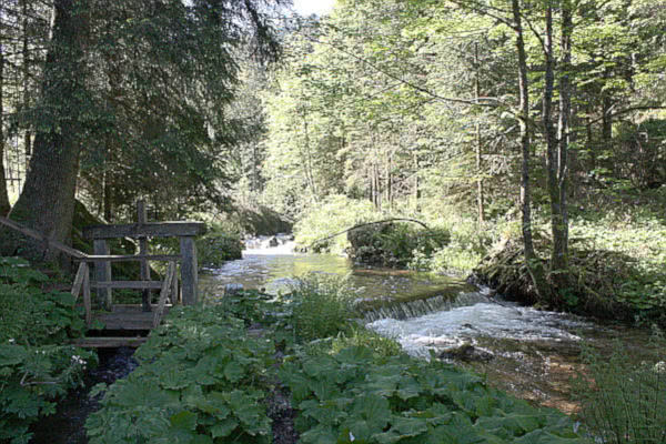 La Petite Meurthe und Versorgungskanal mit Wehr oberhalb von Lancoir.