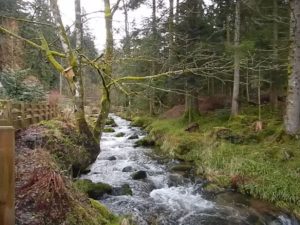 La Petite Meurthe im Spät-Winter oberhalb von Lancoir.