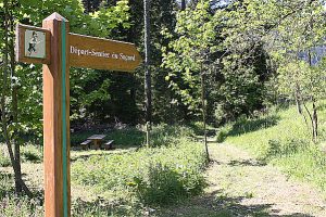 The sawmill loop walk. Sentier du Sagard.