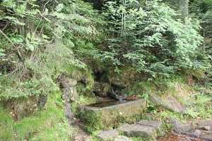 Ein eingefasstes Quellbächlein am Lac de la Maix