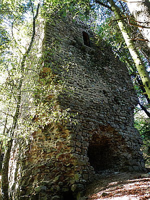 Burgruine Reichenweier Reichenstein