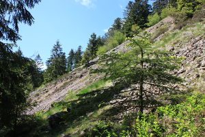 Rubble field adverse the sawmill Lancoir.