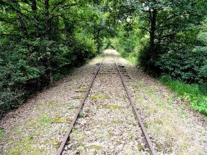 Auf einem Gleis der Draisine Magnieres