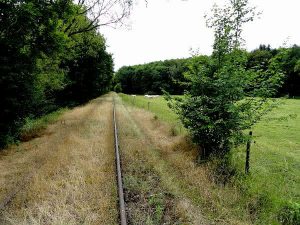 Ein fast zugewachsenes Eisenbahngleis der Draisine Magnieres